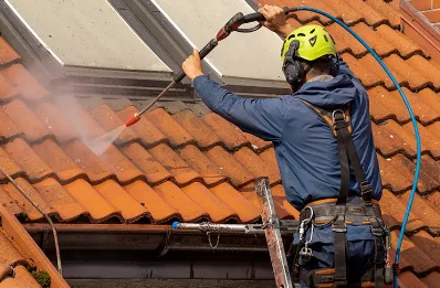 Démoussage et hydrofuge de toiture à Bécon-les-Granits